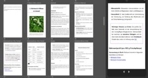 Screenshot von Darstellung auf Mobilgeräten des EPUBs im Kindle Previewer3