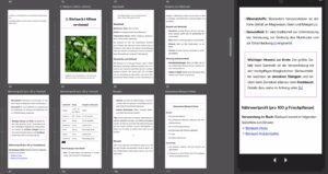 Auszug Kindle EPUB 3.3 mobil