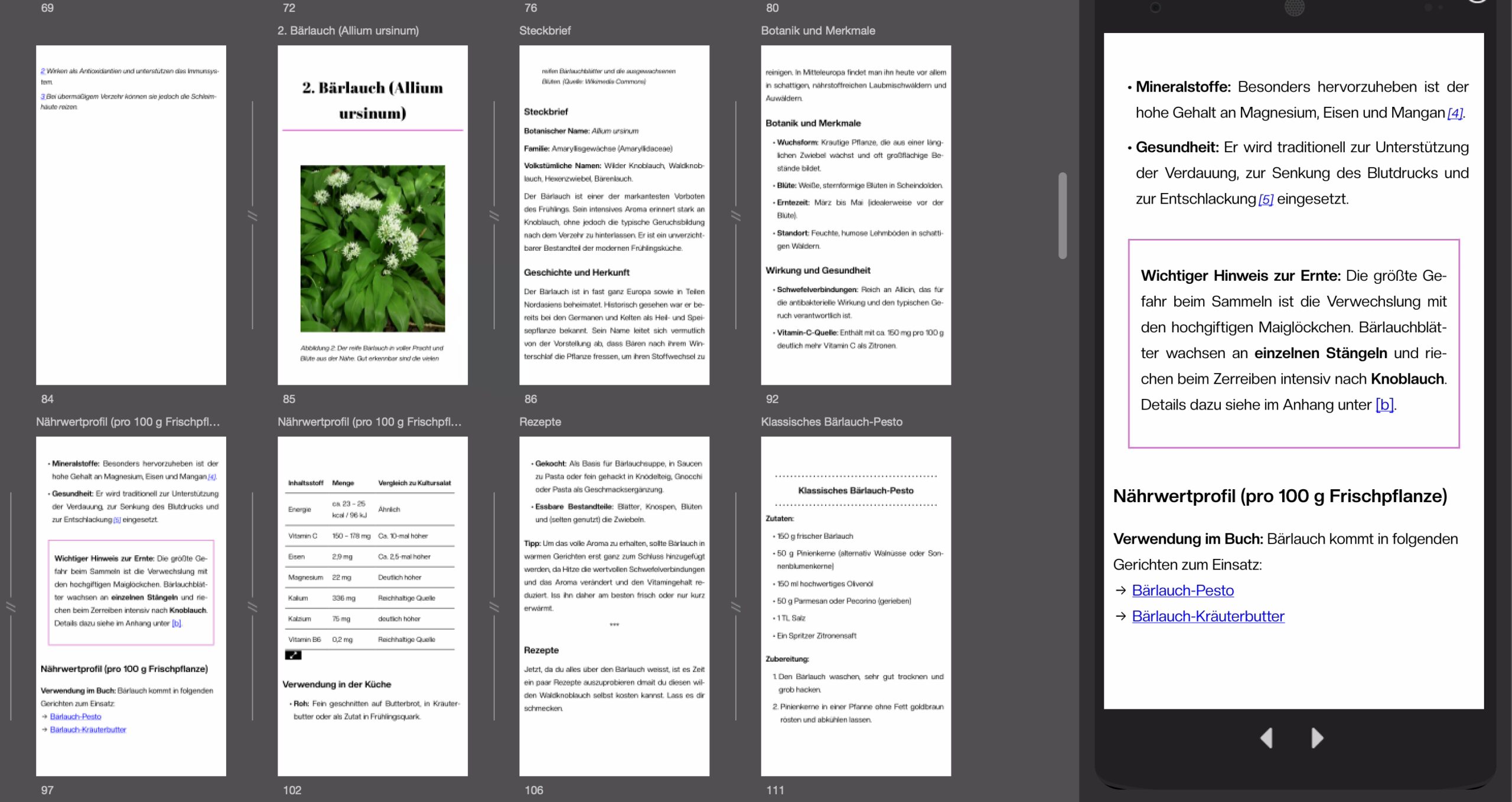 Auszug Kindle EPUB 3.3 mobil