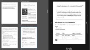 Screenshot aus Kindle Preview3 eReader