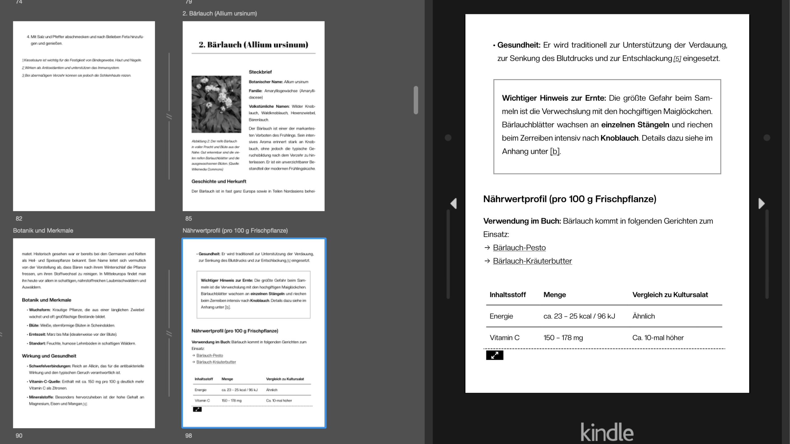 Screenshot aus Kindle Preview3 eReader