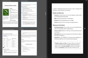 Screenshot aus Kindle Preview3 Tablet