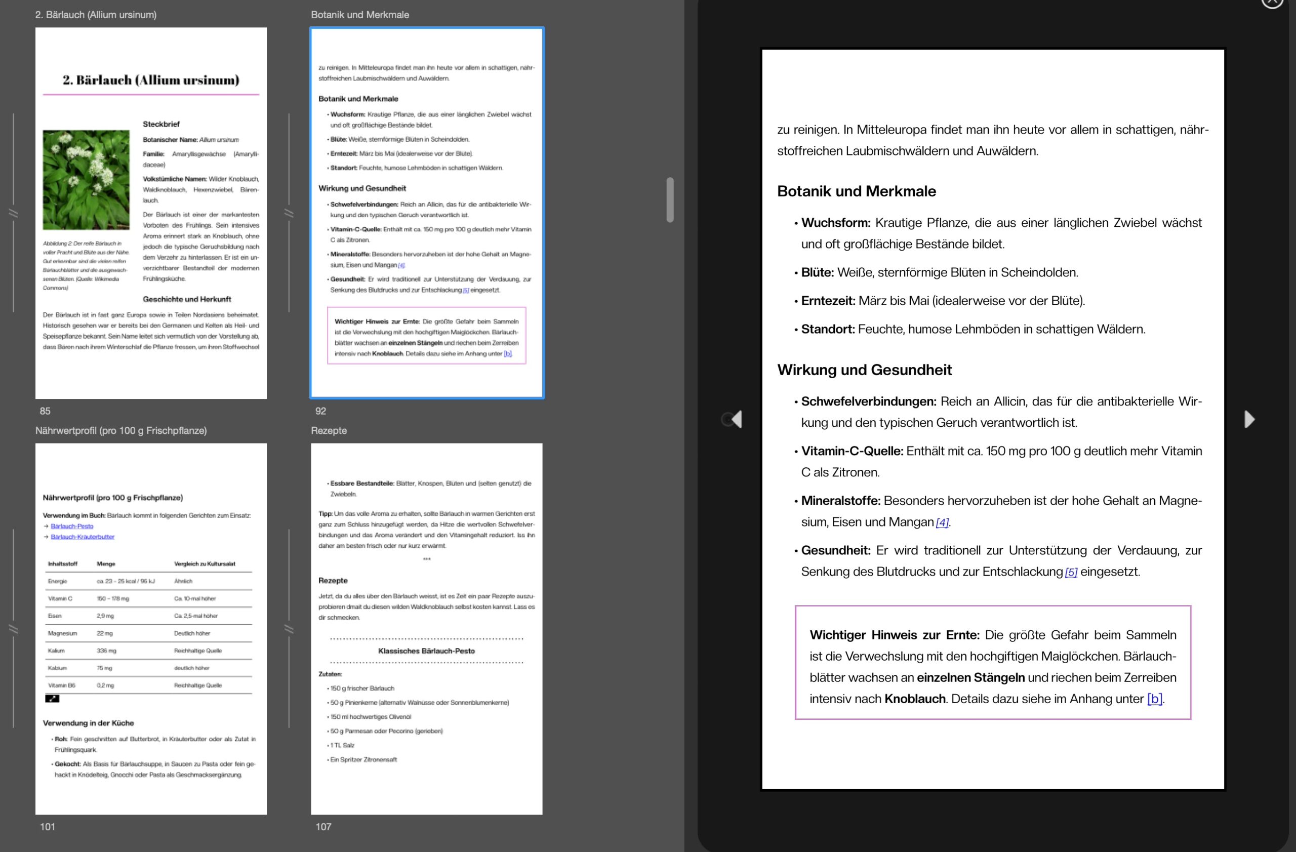 Screenshot aus Kindle Preview3 Tablet