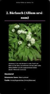 Auszug Seite 1 auf Apple Books EPUB 3.3 mobile Ansicht