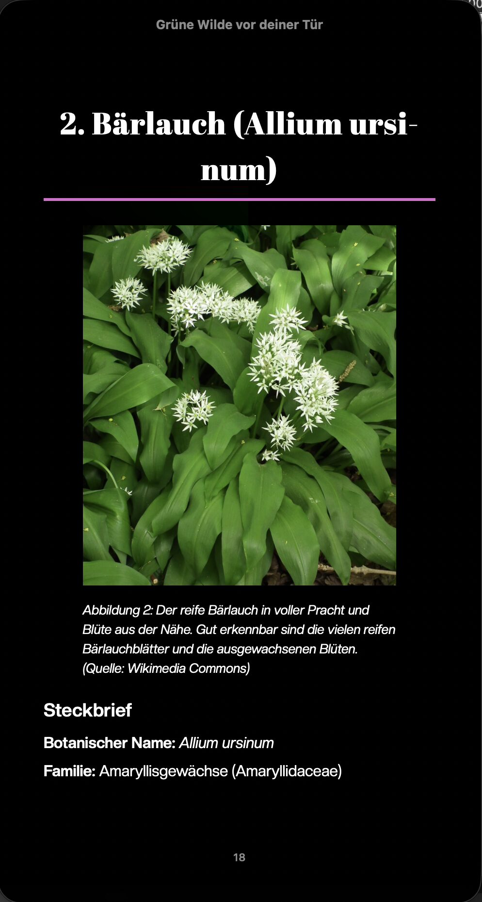 Auszug Seite 1 auf Apple Books EPUB 3.3 mobile Ansicht