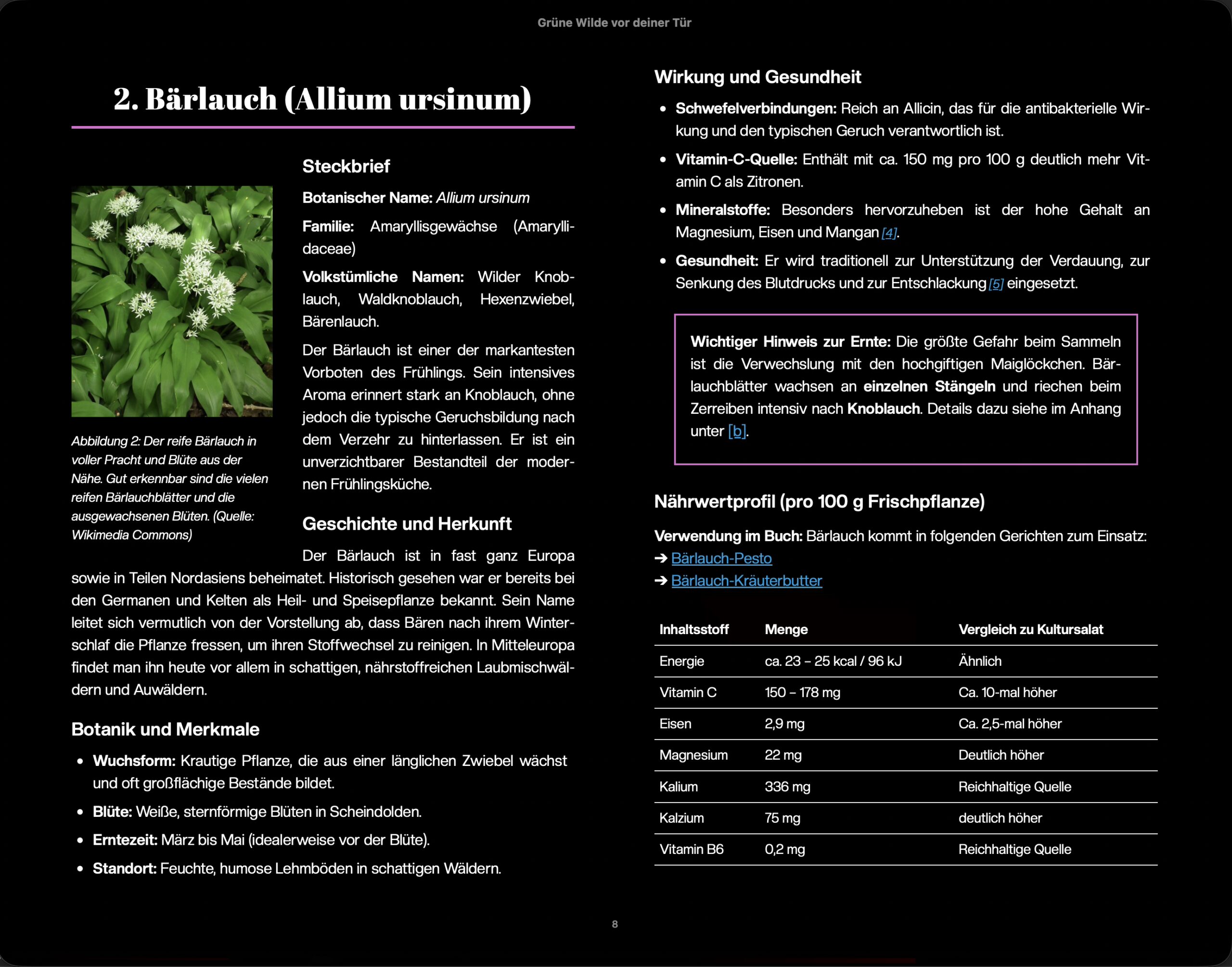 Auszug Apple Books beide Seiten EPUB 3.3 auf dem Tablet